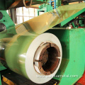 Color Coated Steel Coils Ppgi Coil